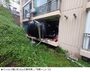 50代男性が運転する乗用車がマンション1階に突っ込む　2人けが　／天安