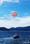 夏の海の上を飛ぶパラセーリング