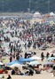 大にぎわいの海雲台海水浴場　／釜山