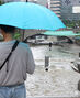 大雨続く韓国中部地方…立入規制された清渓川　／ソウル