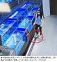 「これ安くなりますか？」　スーパーの水槽から生きた魚を取り出して足で踏み殺す女性　／中国・広東省