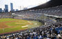 2年連続で観客1000万人を記録した韓国プロ野球