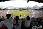 韓国プロ野球、最多観客数「また更新」