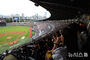 韓国プロ野球、最多観客数「また更新」
