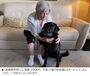 「奇跡が起こった」　10年前に失明したカナダの75歳女性、犬歯を目に移植して視力回復