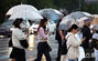 秋夕連休明け…雨の中の出勤　／ソウル