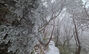 漢拏山に初雪　／済州