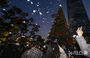 ロッテタウンは早くもクリスマス・ムード　／ソウル