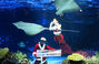 サンタの「水中パフォーマンス」