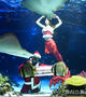 サンタの「水中パフォーマンス」
