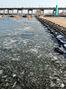続く寒波　漢江に浮かぶ氷　／ソウル