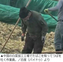作業員がつばを吐いて喫煙　中国・遼寧省の白菜加工工場代表に罰金2200万円